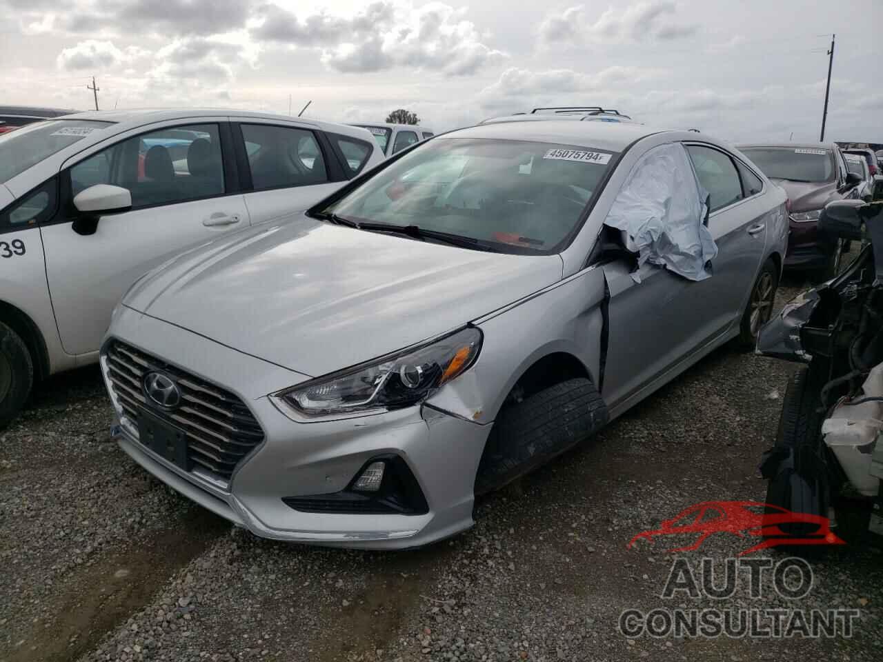 HYUNDAI SONATA 2019 - 5NPE24AF2KH799439