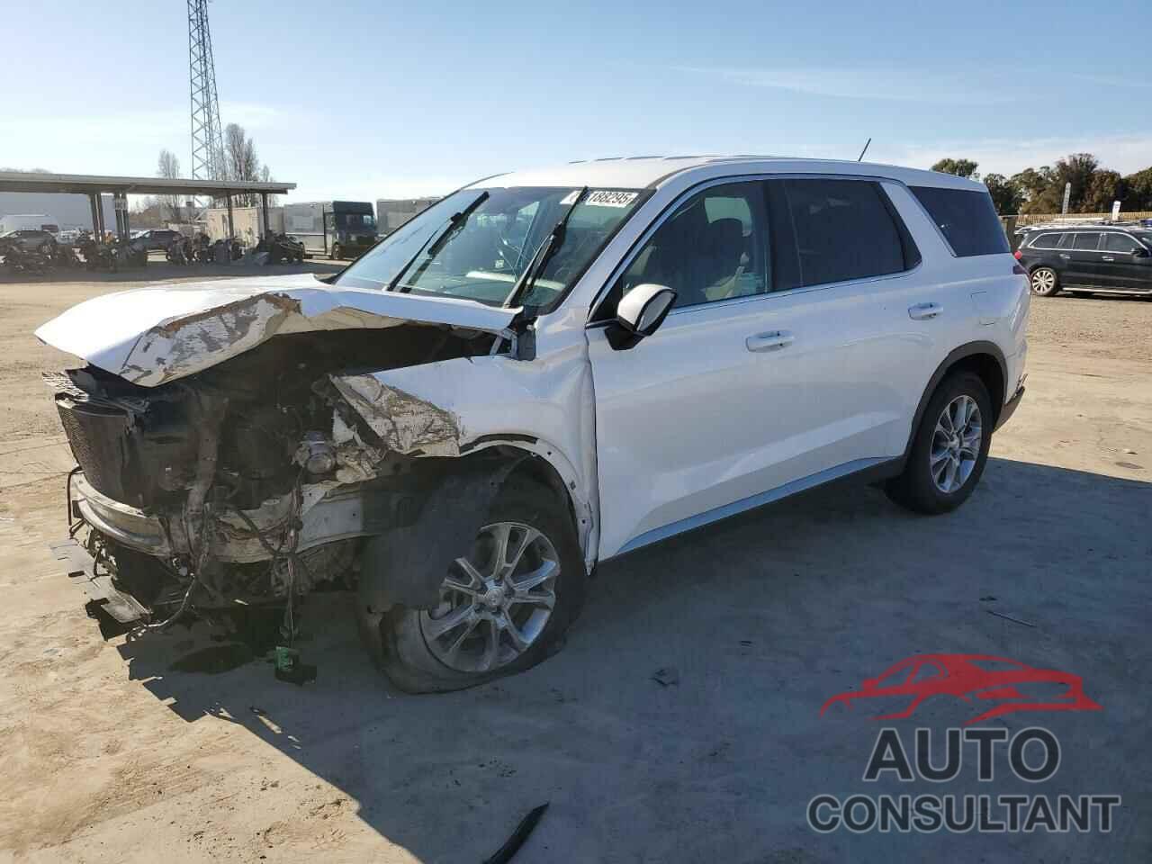 HYUNDAI PALISADE 2020 - KM8R14HE7LU058515