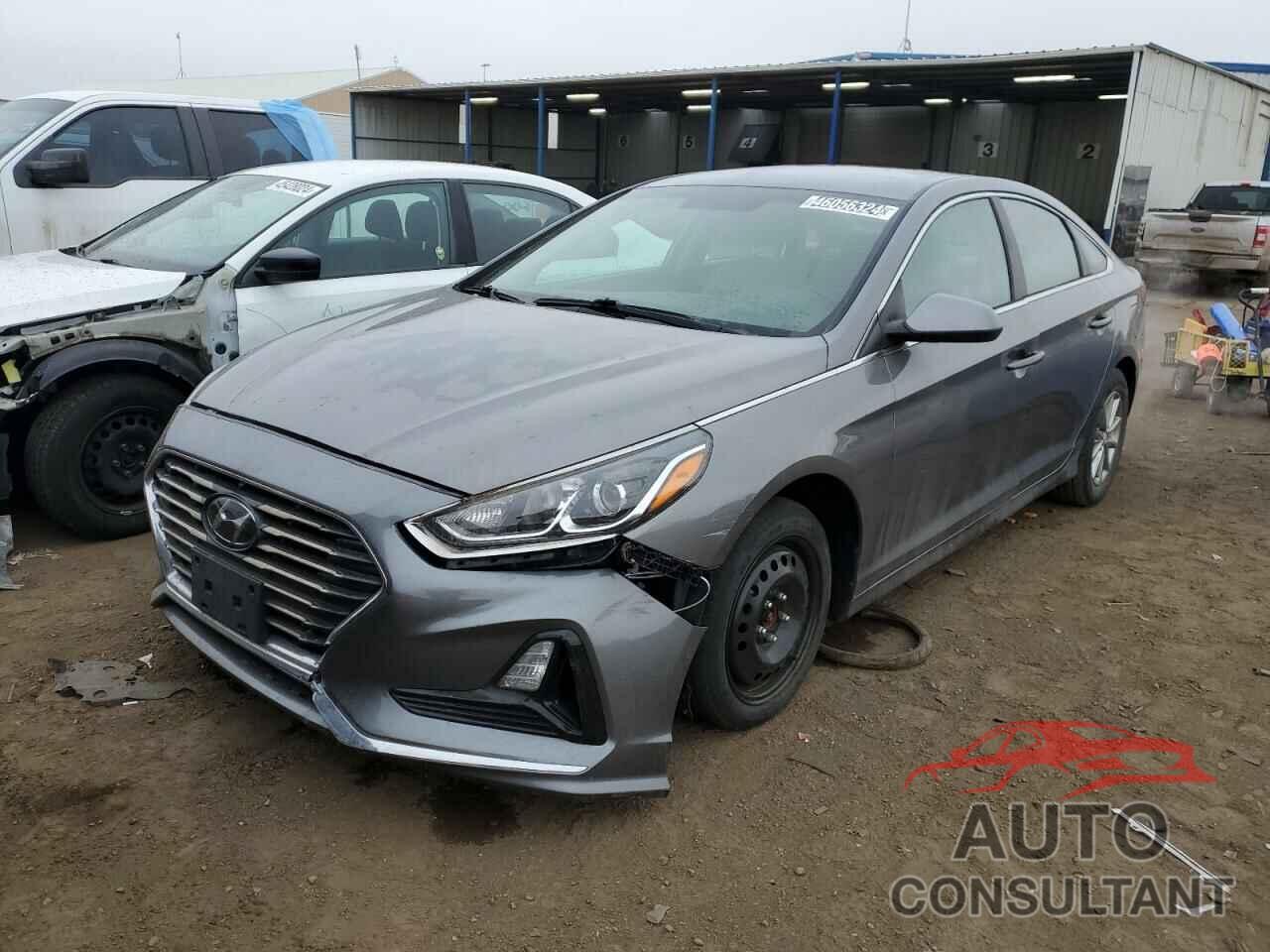 HYUNDAI SONATA 2019 - 5NPE24AF3KH750699