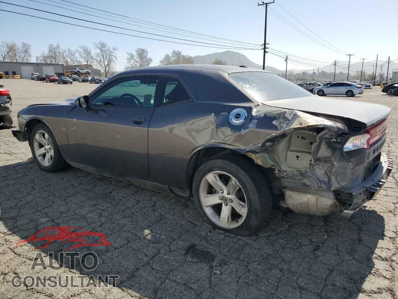 DODGE CHALLENGER 2014 - 2C3CDYAG3EH206562