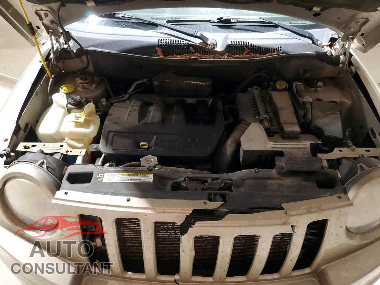 JEEP COMPASS 2010 - 1J4NF4FB2AD513114