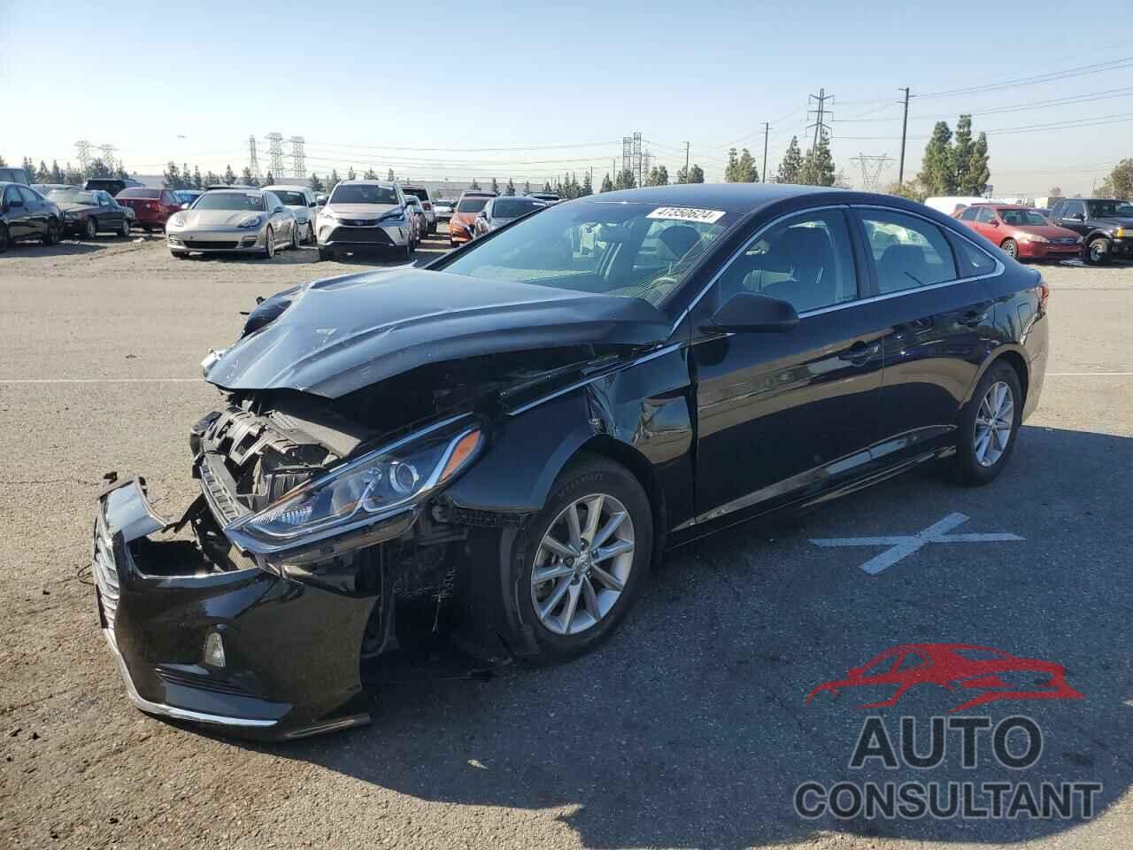 HYUNDAI SONATA 2019 - 5NPE24AF8KH742811