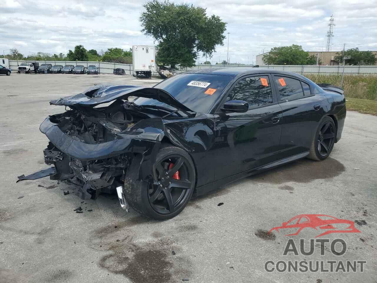 DODGE CHARGER 2019 - 2C3CDXGJ8KH622311
