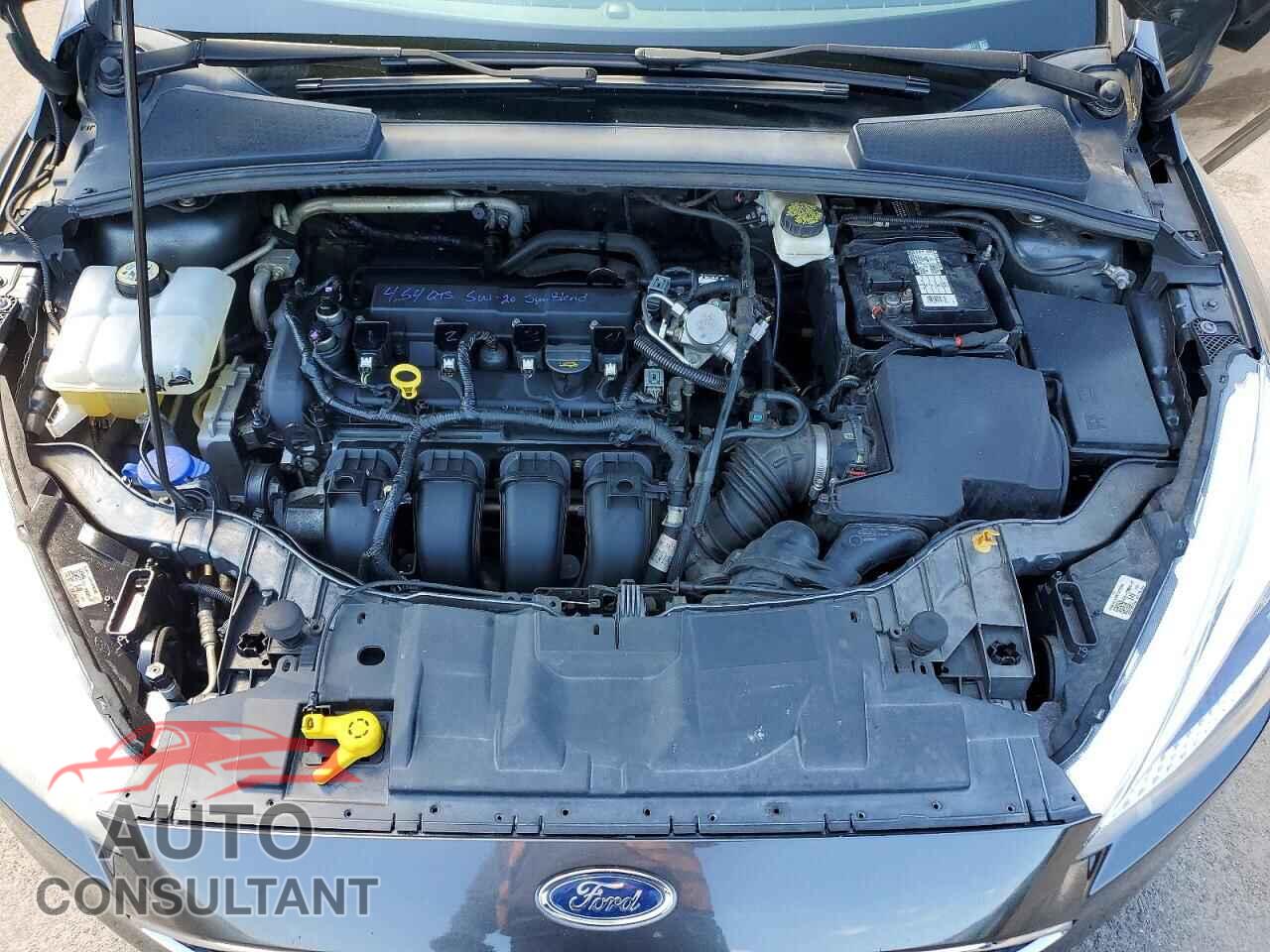 FORD FOCUS 2017 - 1FADP3F23HL269911