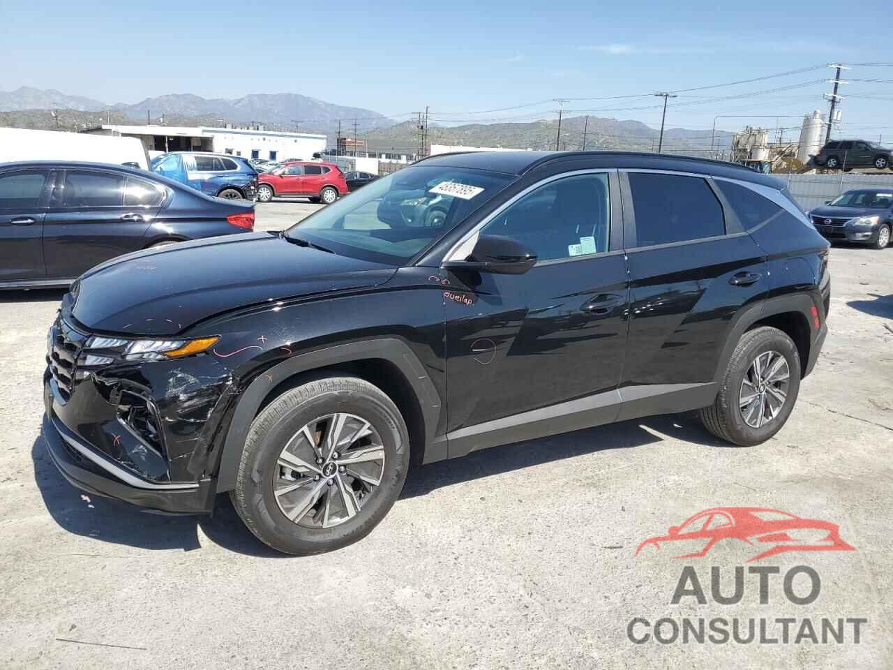 HYUNDAI TUCSON 2024 - KM8JBCD17RU220918