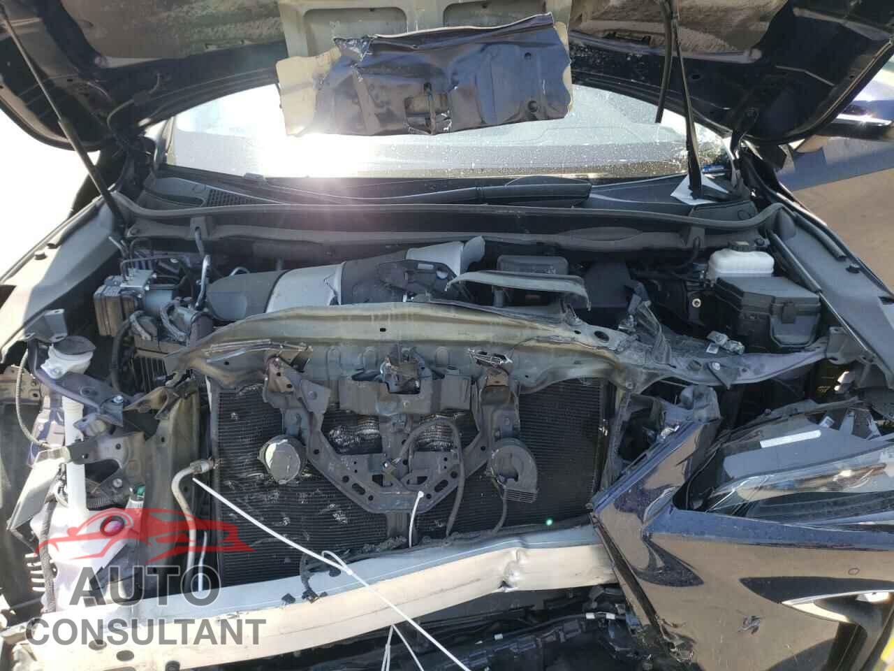 LEXUS RX350 2019 - 2T2ZZMCA4KC128805
