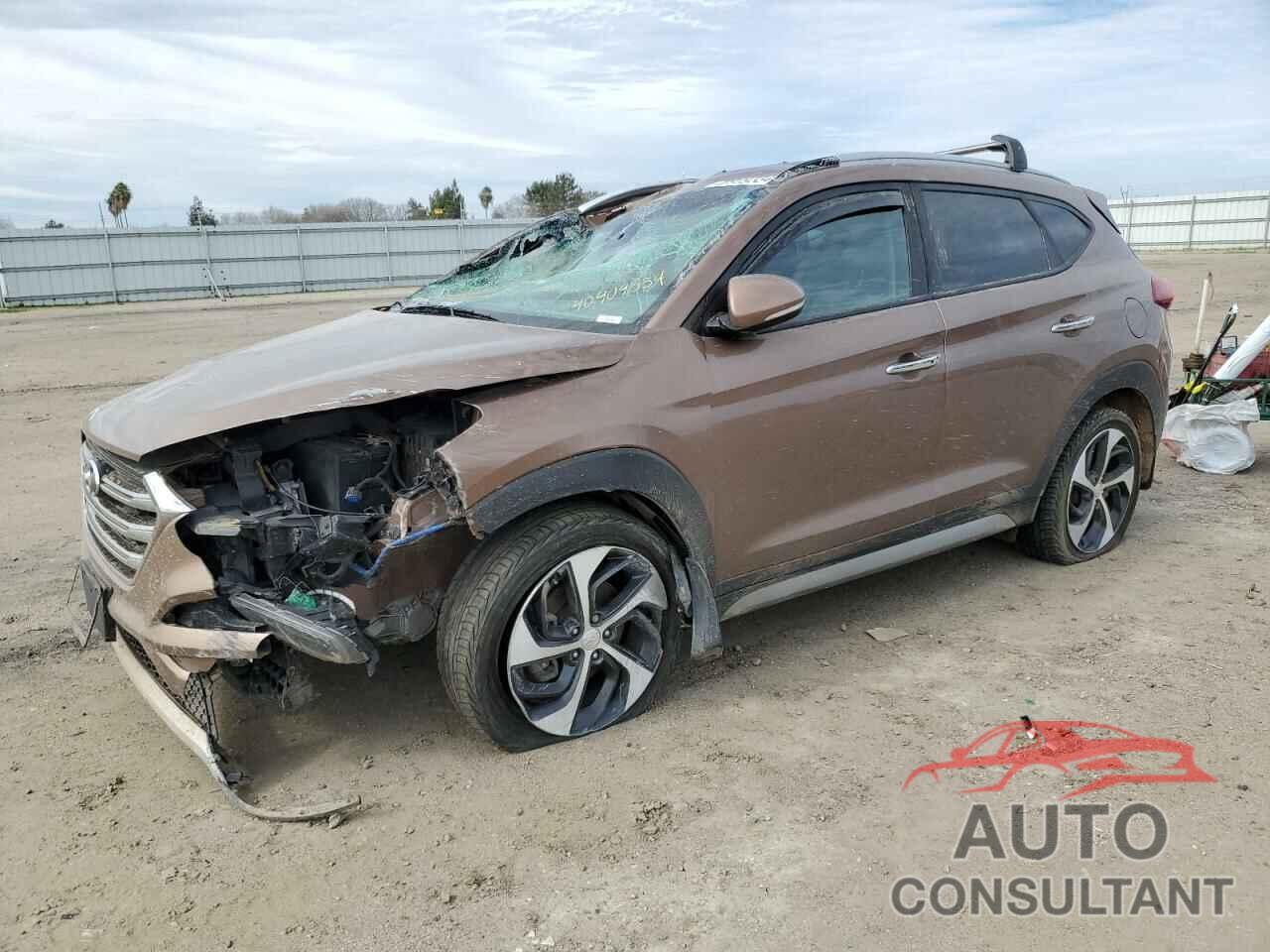 HYUNDAI TUCSON 2017 - KM8J3CA29HU310323