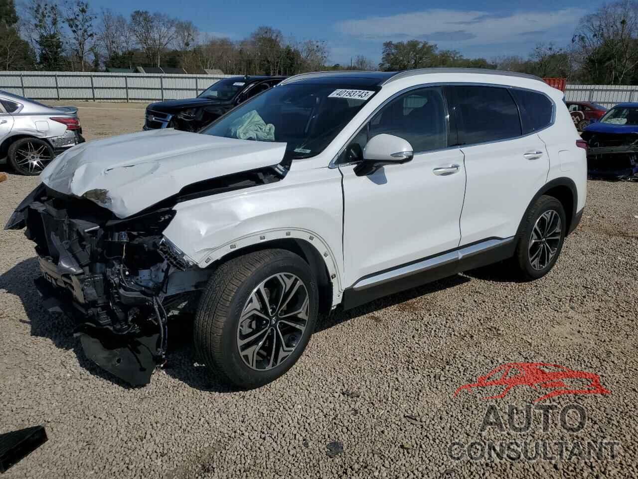 HYUNDAI SANTA FE 2019 - 5NMS5CAA9KH052927