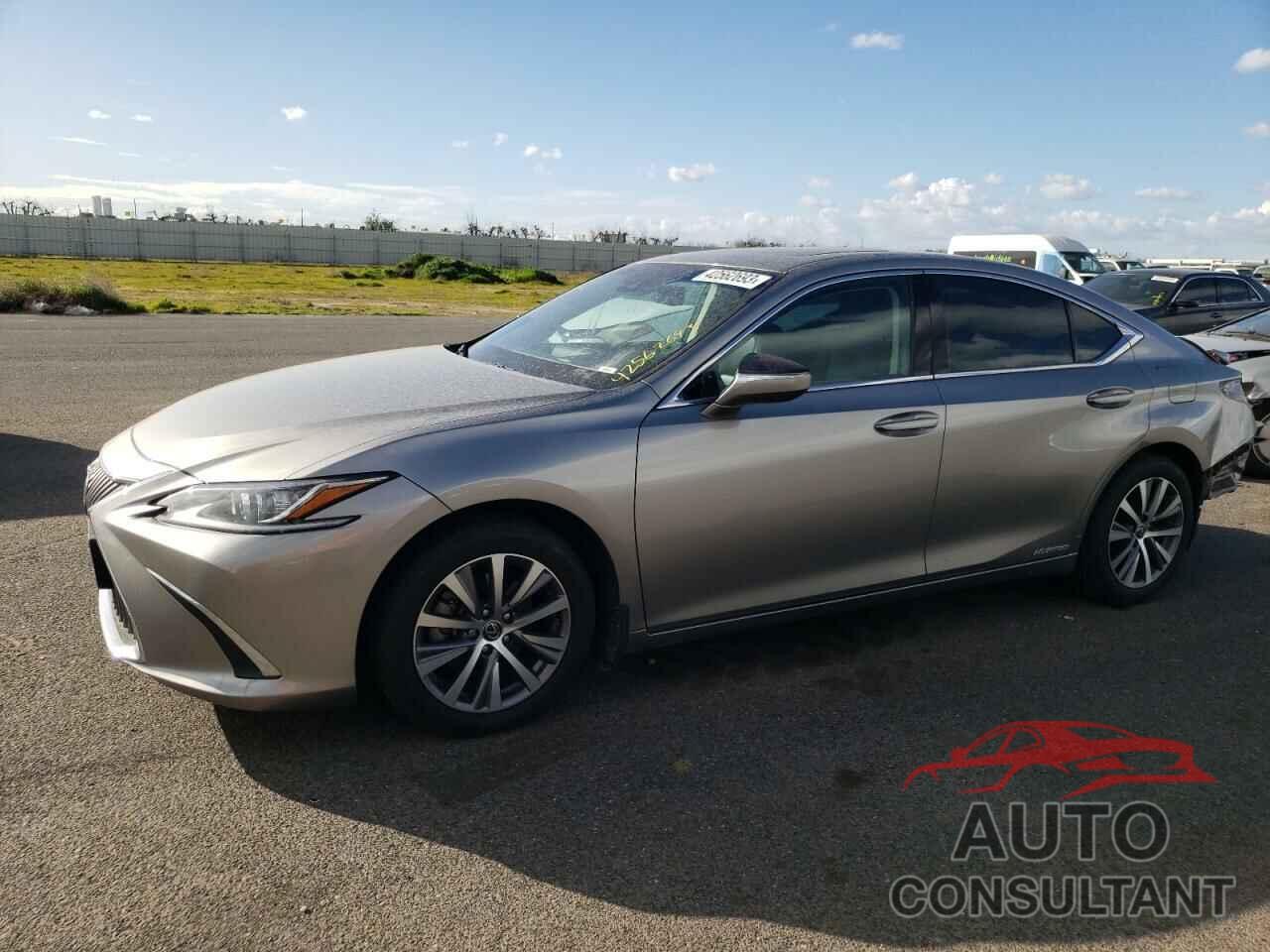 LEXUS ES300 2019 - 58AB21B19KU001999