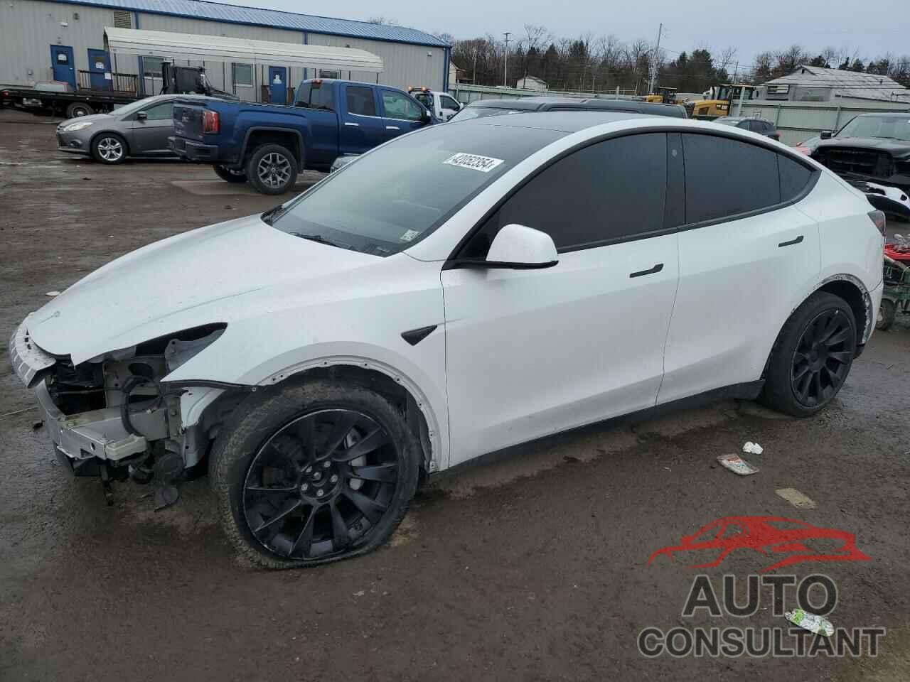 TESLA MODEL Y 2023 - 7SAYGDEE6PF637161