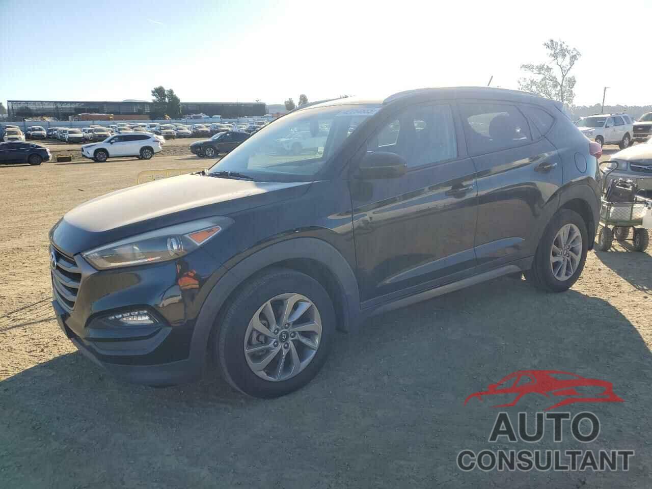 HYUNDAI TUCSON 2016 - KM8J33A40GU242526