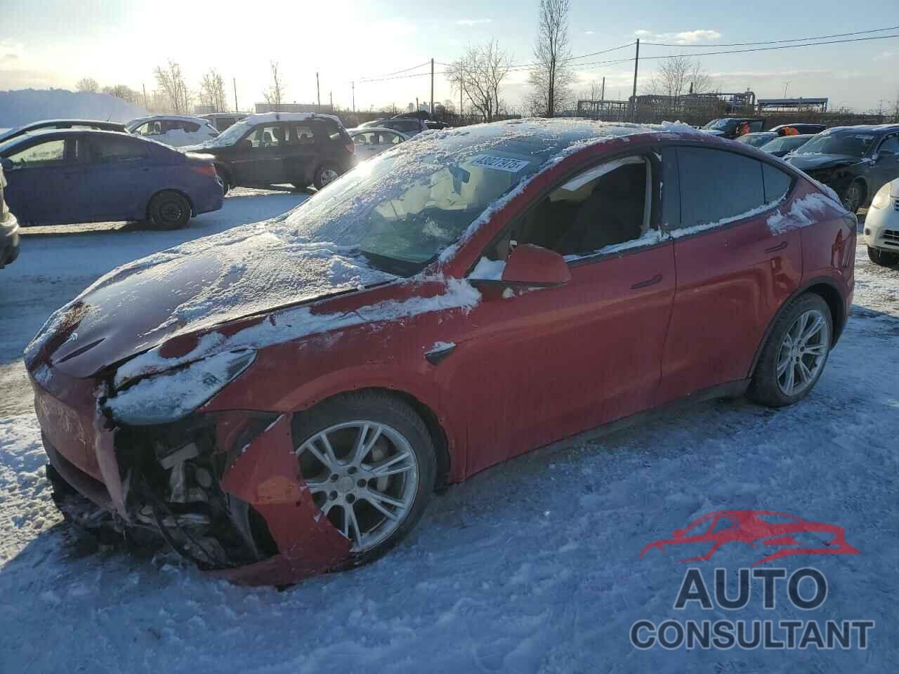 TESLA MODEL Y 2021 - 5YJYGDEE1MF287494