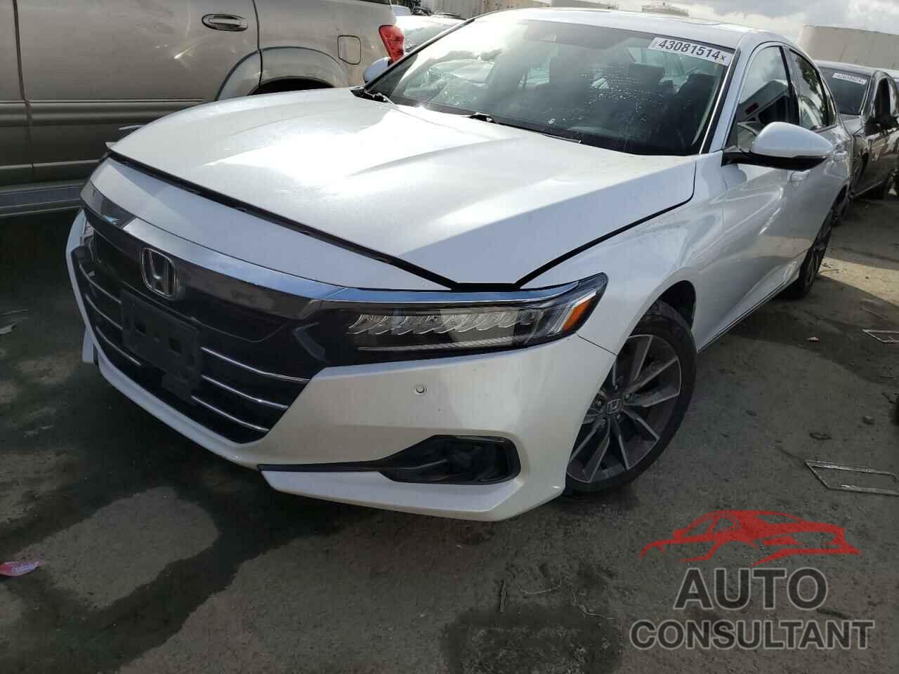 HONDA ACCORD 2021 - 1HGCV1F55MA074703