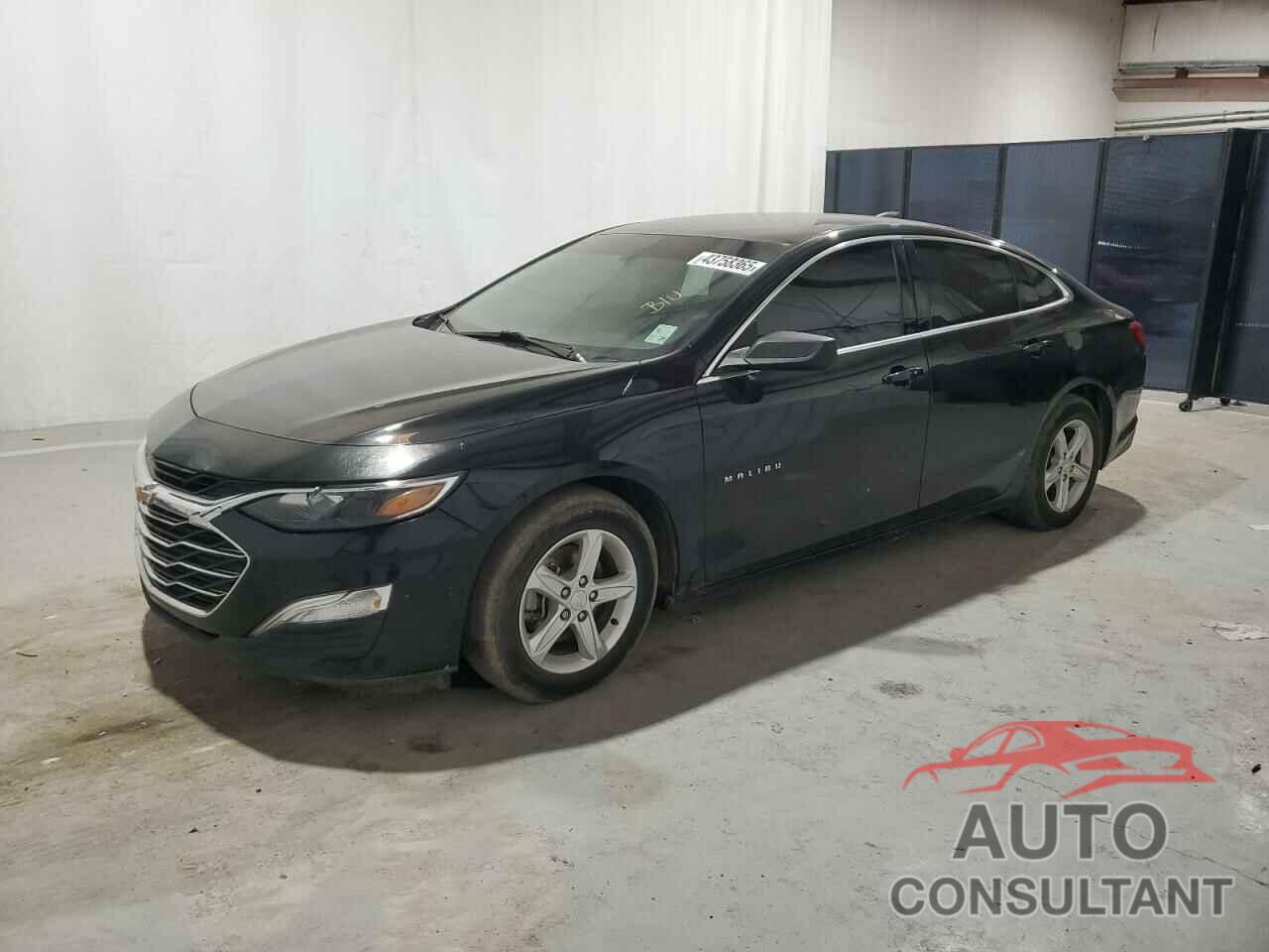 CHEVROLET MALIBU 2019 - 1G1ZB5ST3KF205553