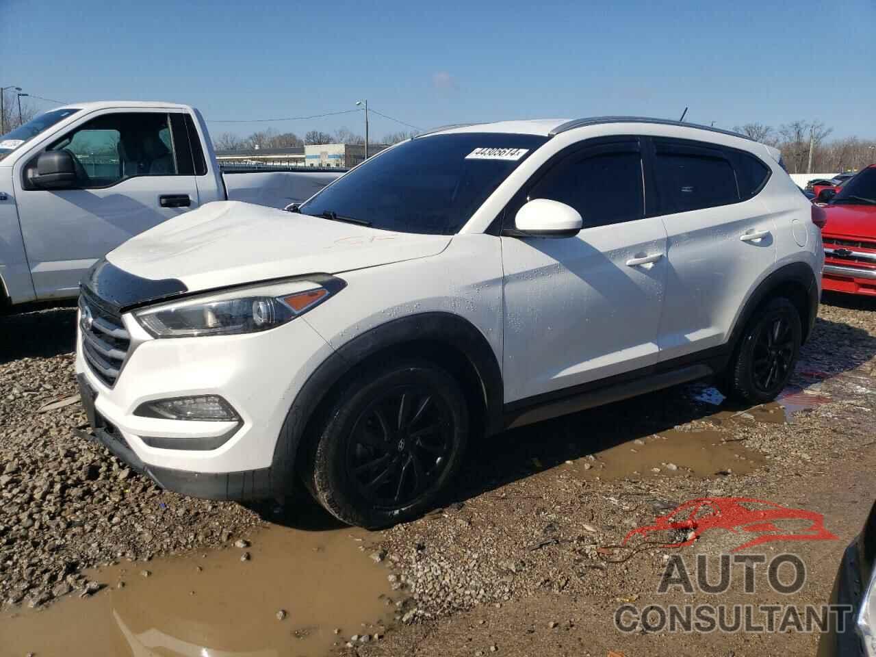 HYUNDAI TUCSON 2017 - KM8J33A45HU277970