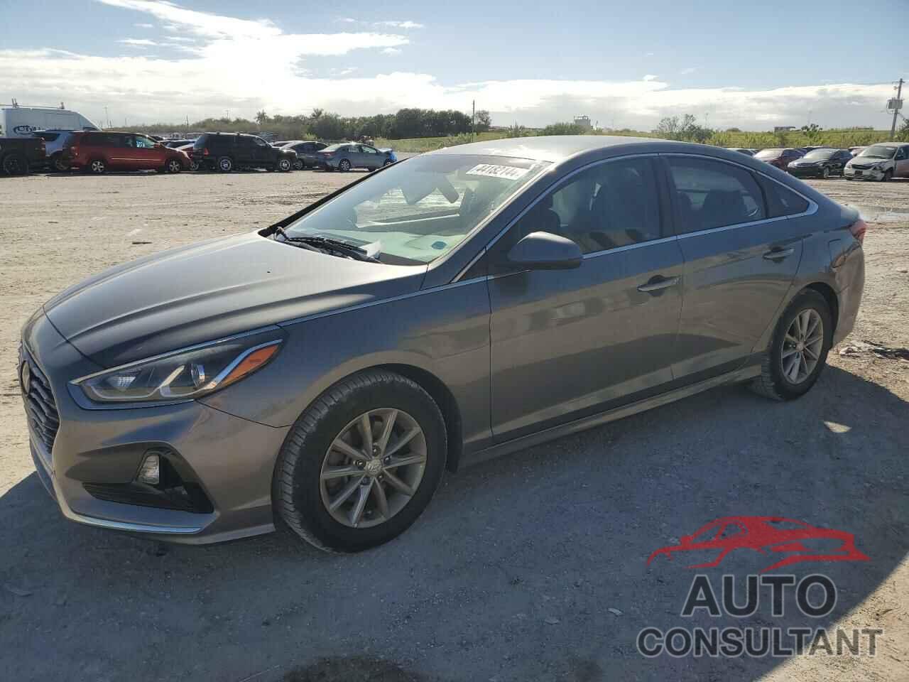 HYUNDAI SONATA 2019 - 5NPE24AF7KH805364