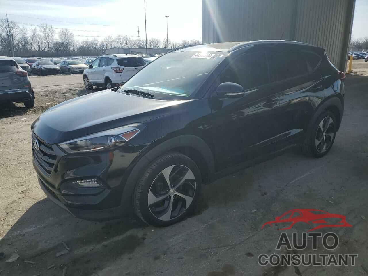 HYUNDAI TUCSON 2016 - KM8J33A24GU074176