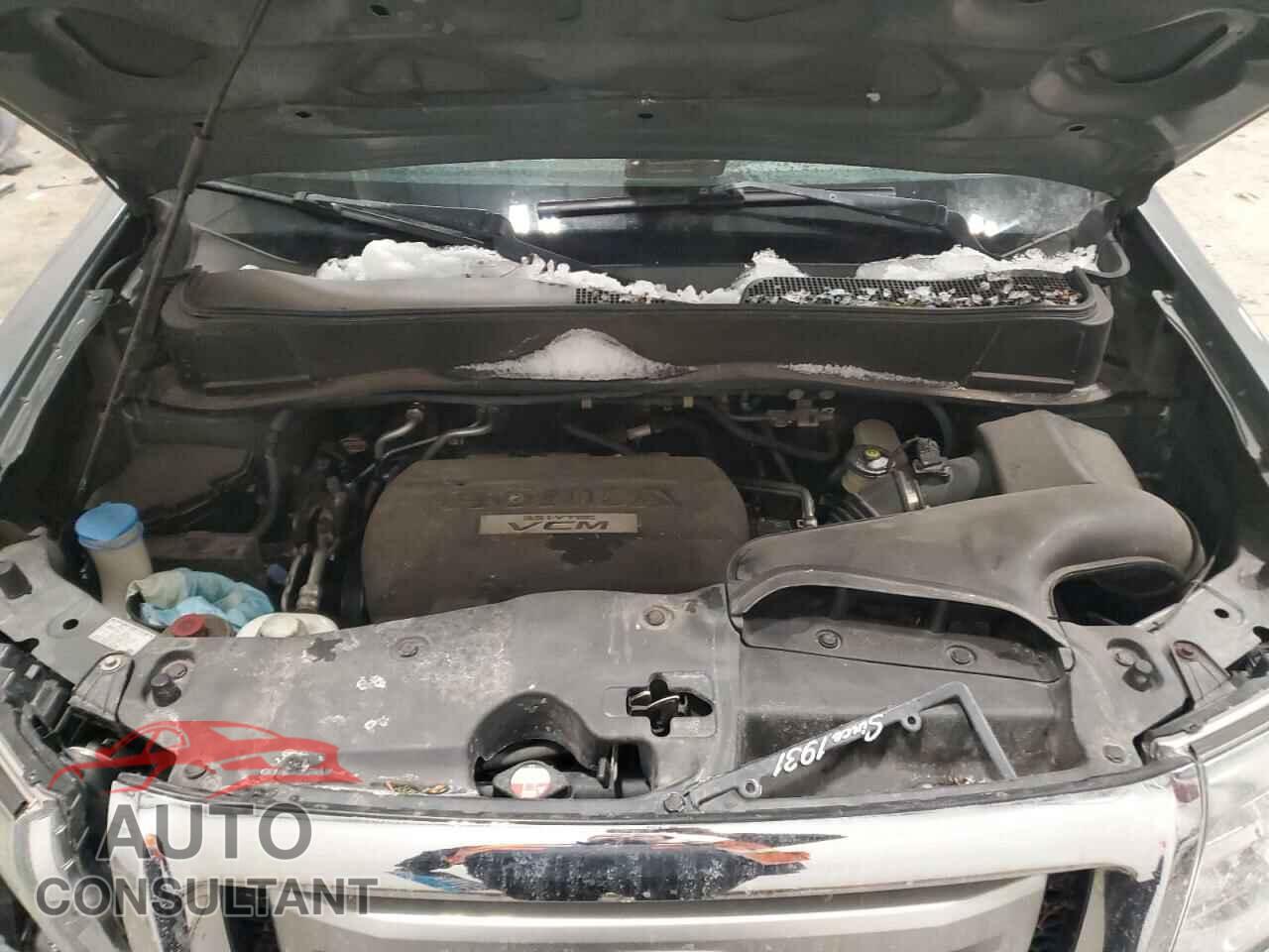HONDA PILOT 2009 - 5FNYF48589B044285