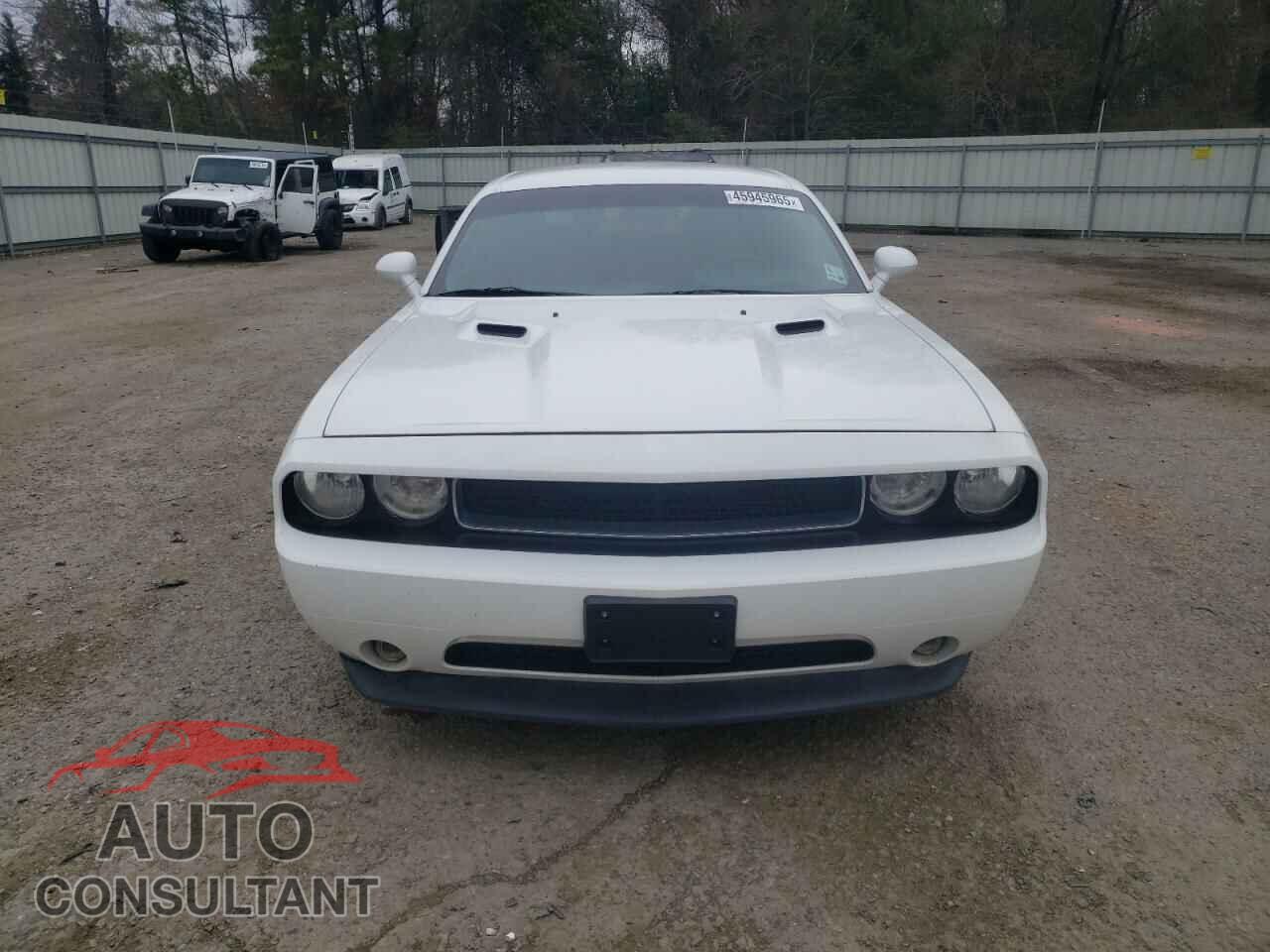 DODGE CHALLENGER 2013 - 2C3CDYAGXDH627953