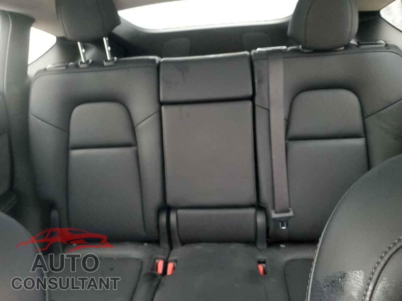 TESLA MODEL Y 2022 - 7SAYGAEE2NF554371
