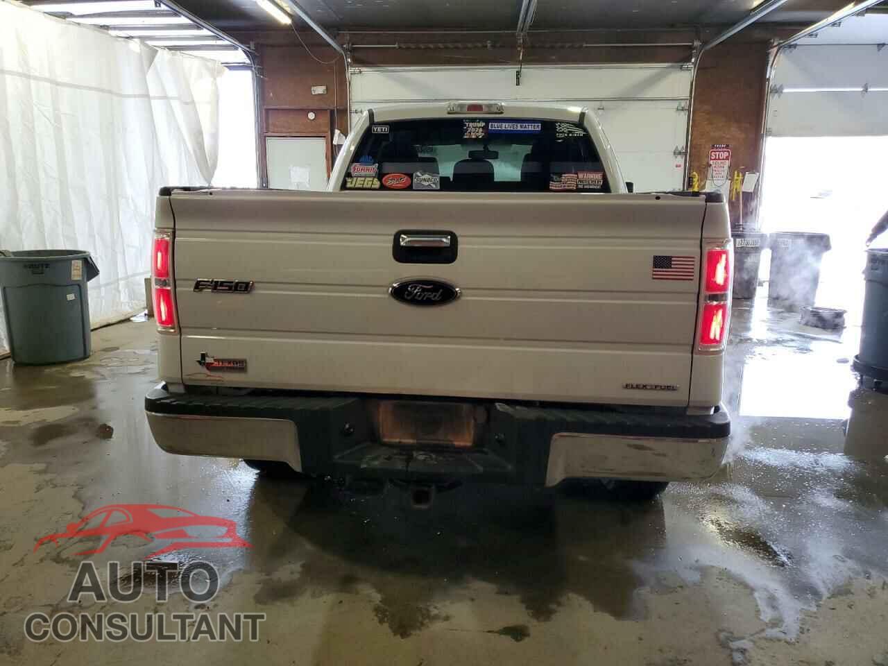 FORD F-150 2012 - 1FTFX1CF4CFC33506