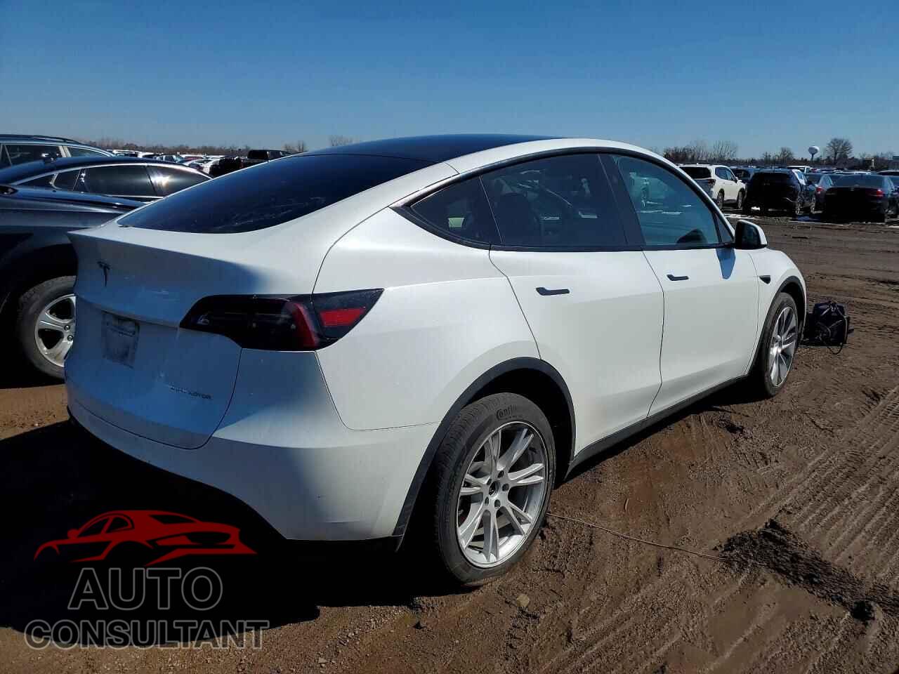TESLA MODEL Y 2023 - 7SAYGDEE6PF802111