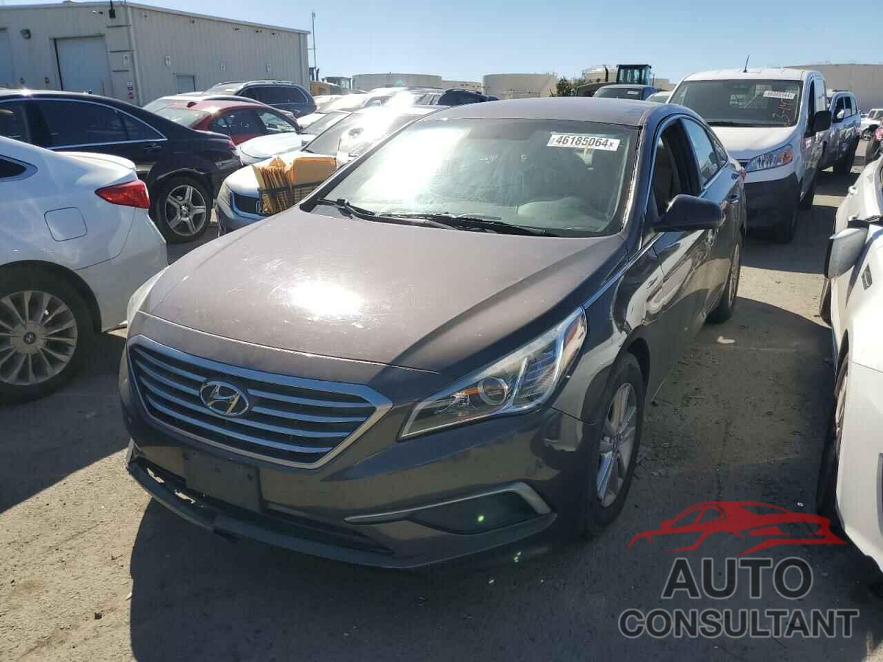 HYUNDAI SONATA 2017 - 5NPE24AF4HH551928