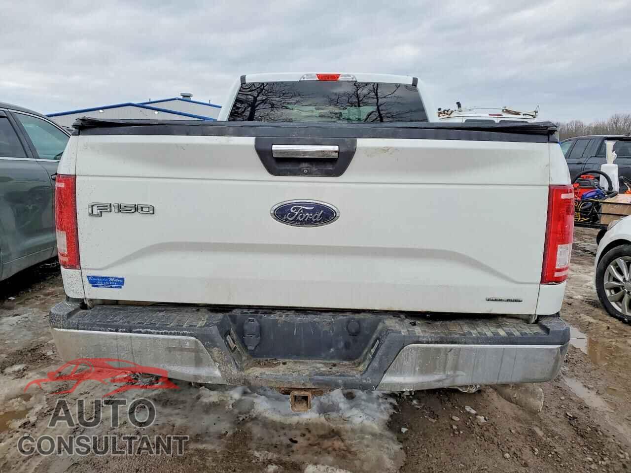 FORD F150 2015 - 1FTFX1EF1FFA44281