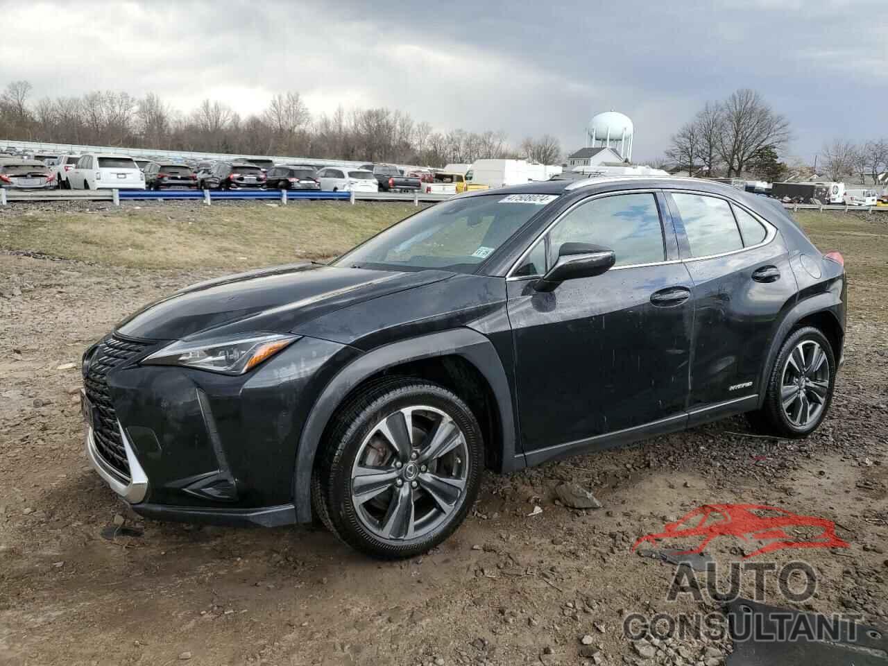 LEXUS UX 250H 2020 - JTHX9JBHXL2035195