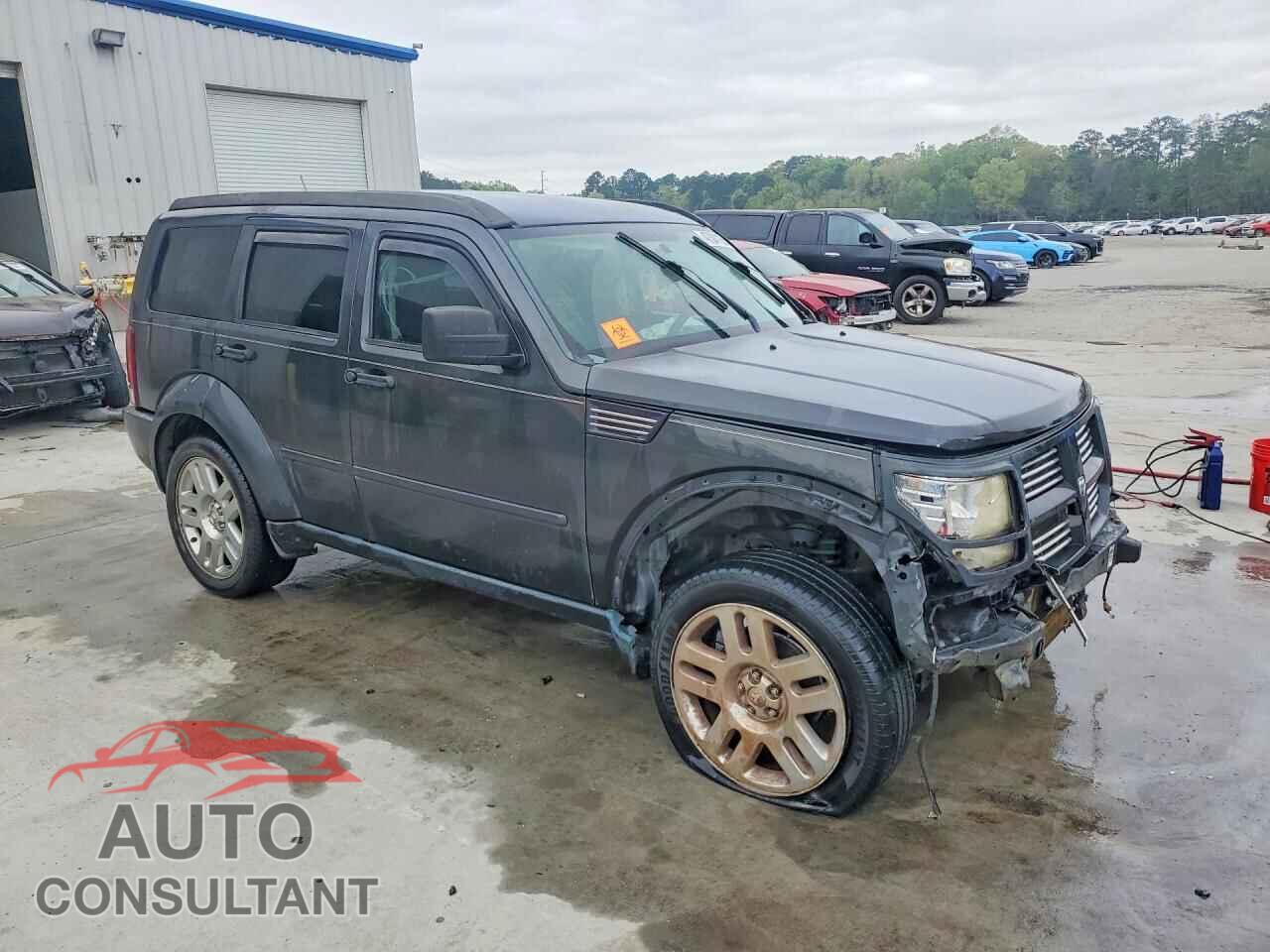 DODGE NITRO 2010 - 1D4PT4GK4AW174160