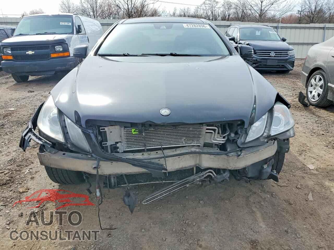 MERCEDES-BENZ E-CLASS 2010 - WDDKJ7CB3AF036328