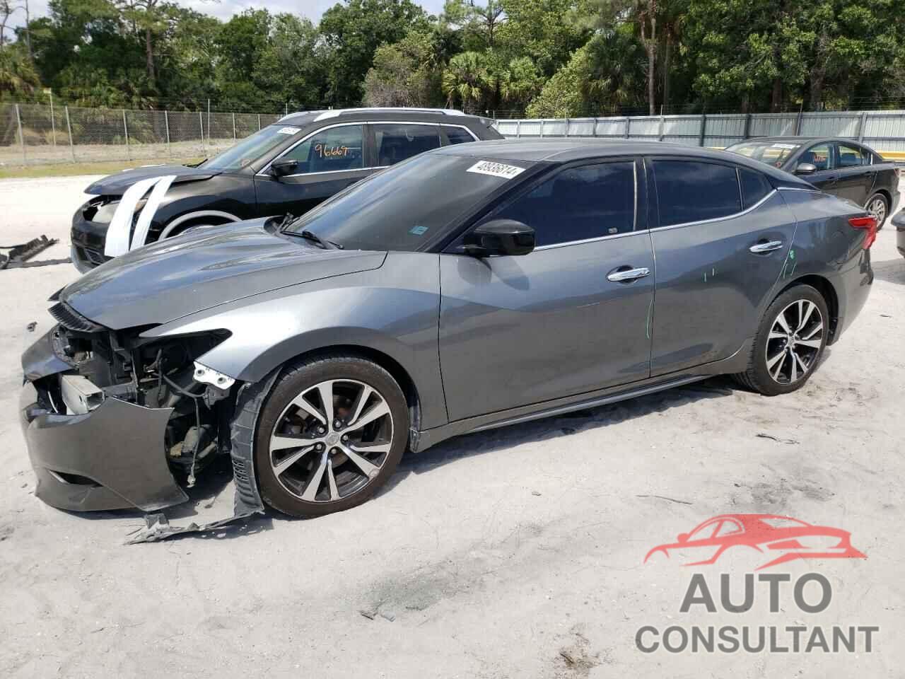 NISSAN MAXIMA 2017 - 1N4AA6APXHC444051