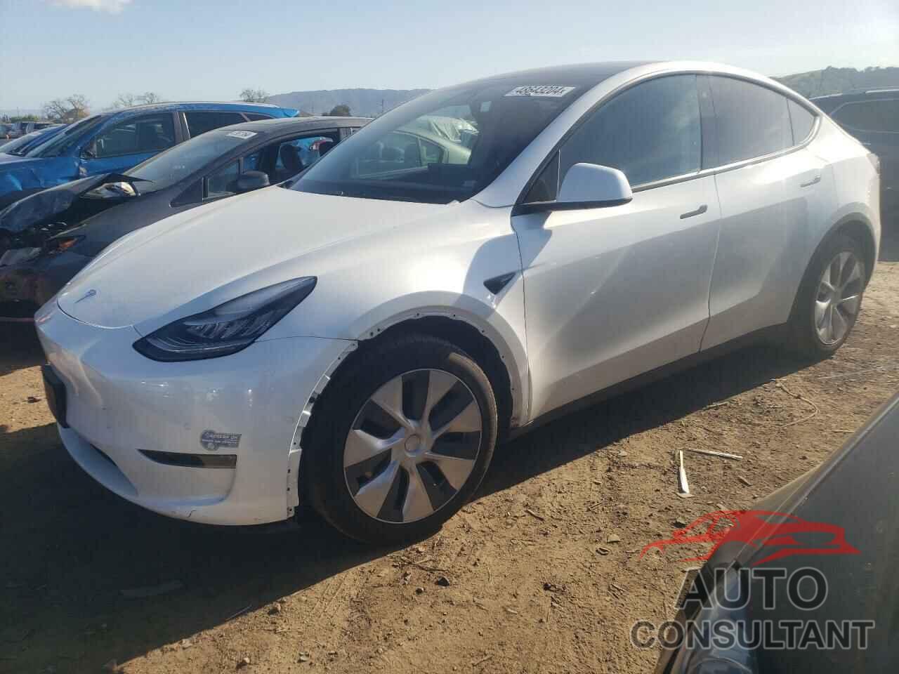 TESLA MODEL Y 2020 - 5YJYGDEE9LF055451