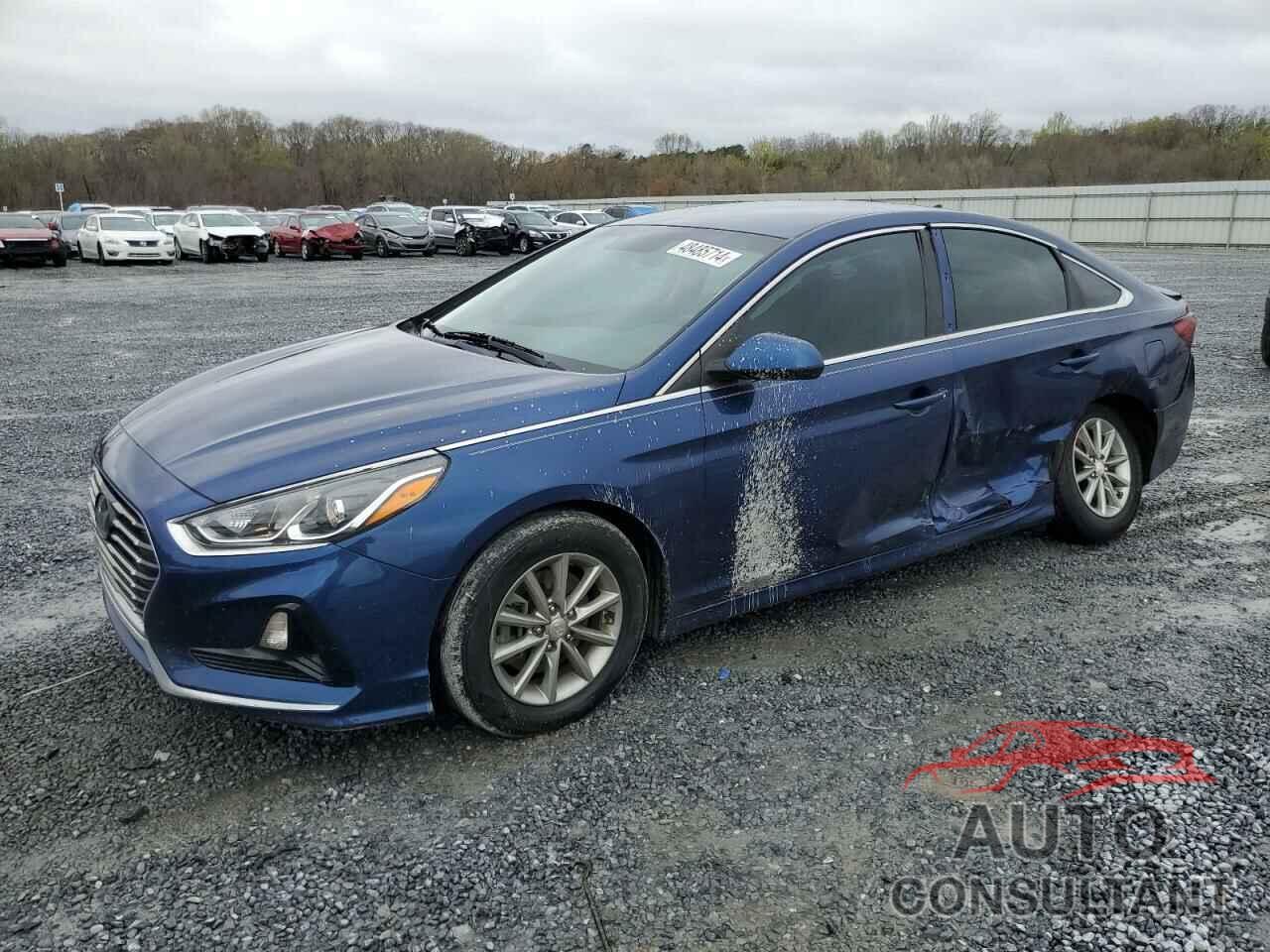 HYUNDAI SONATA 2019 - 5NPE24AF9KH734958