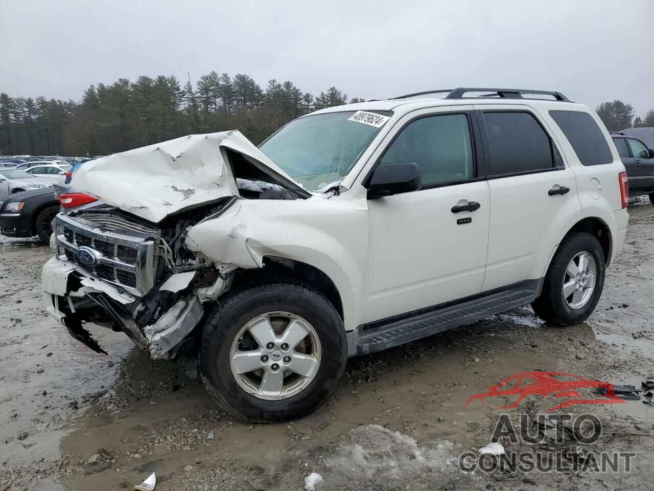 FORD ESCAPE 2010 - 1FMCU9DG8AKB93125
