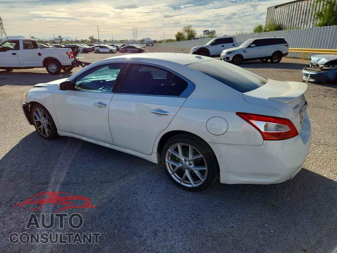 NISSAN MAXIMA 2009 - 1N4AA51E69C802093