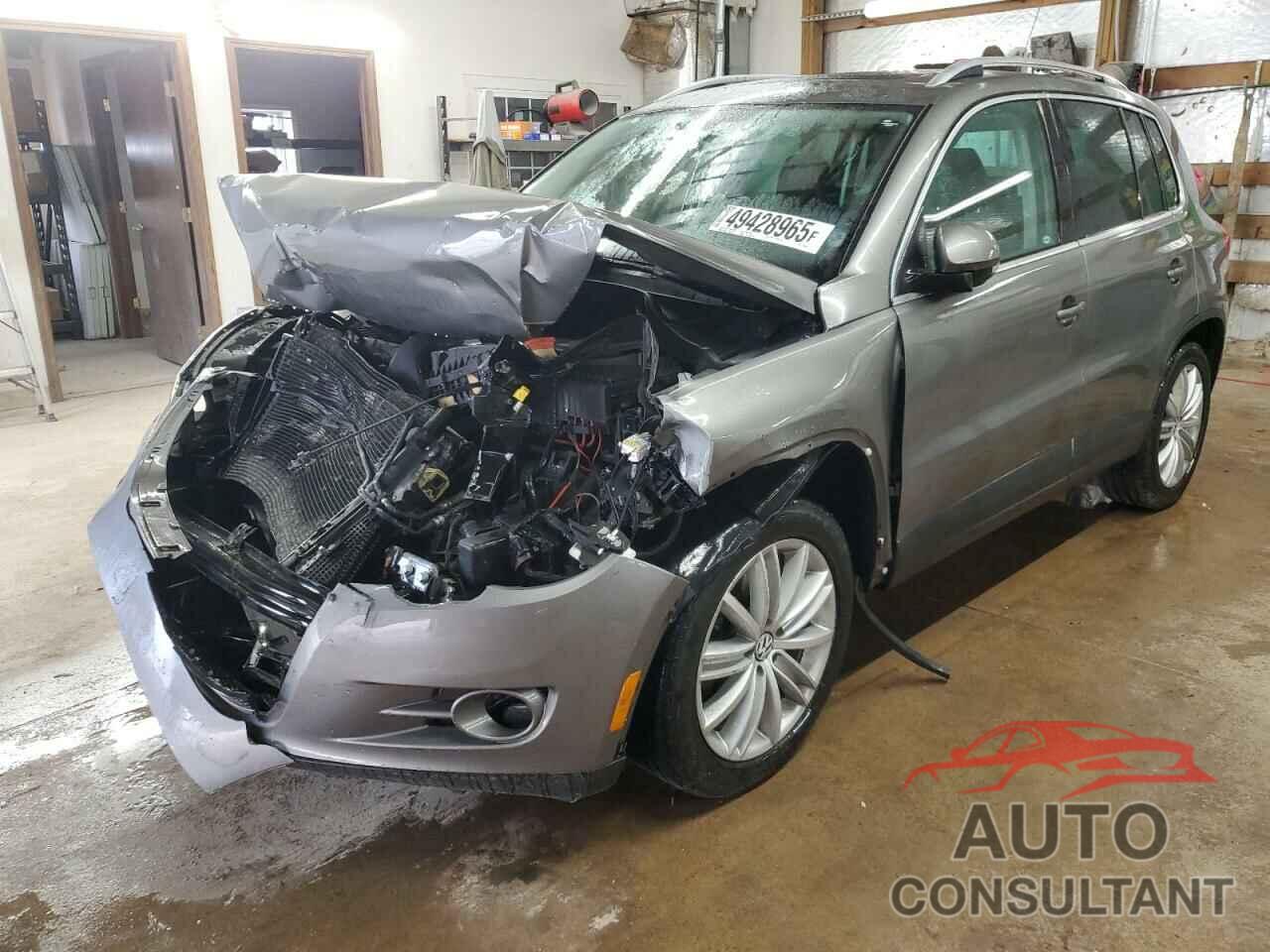 VOLKSWAGEN TIGUAN 2010 - WVGBV9AX1AW510300