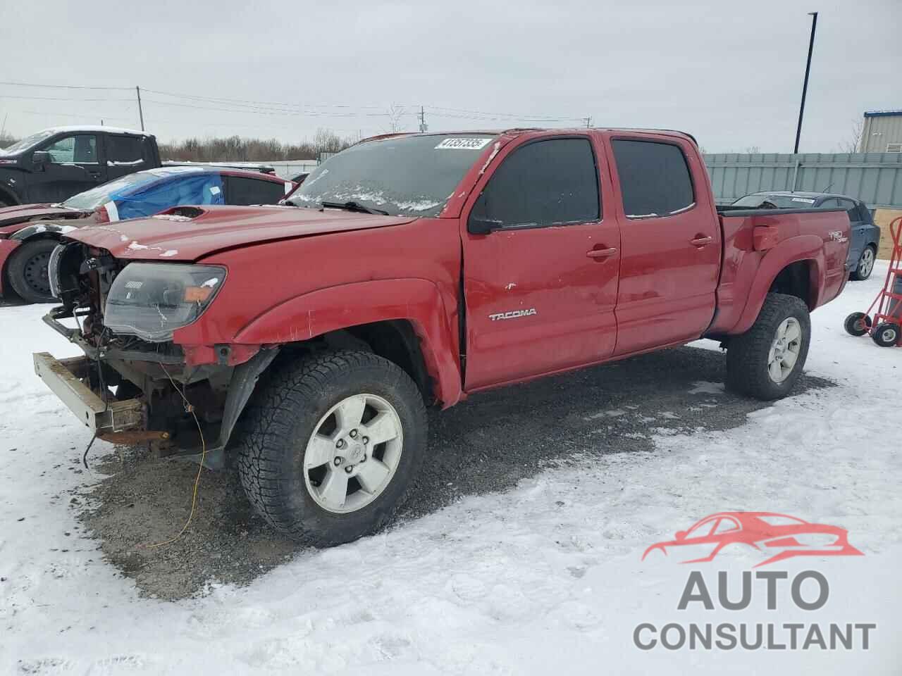 TOYOTA TACOMA 2009 - 5TEMU52N49Z664083