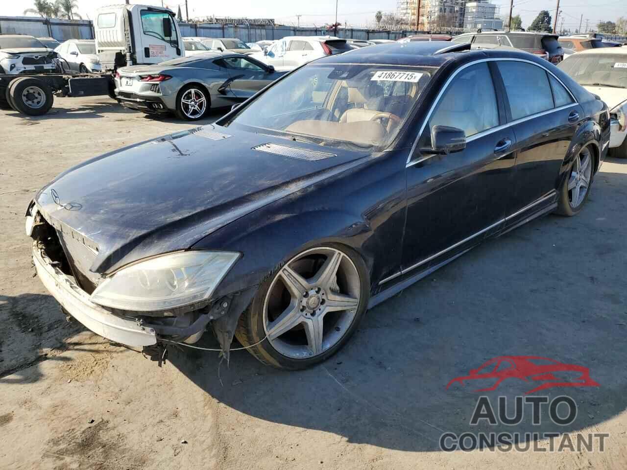 MERCEDES-BENZ S-CLASS 2010 - WDDNG8GB6AA311926