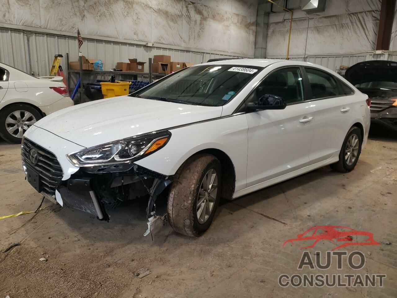 HYUNDAI SONATA 2019 - 5NPE24AF6KH751734