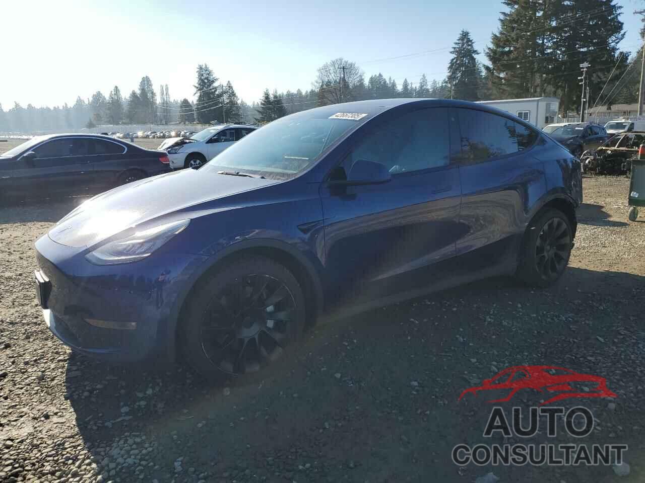 TESLA MODEL Y 2021 - 5YJYGDEE3MF152355