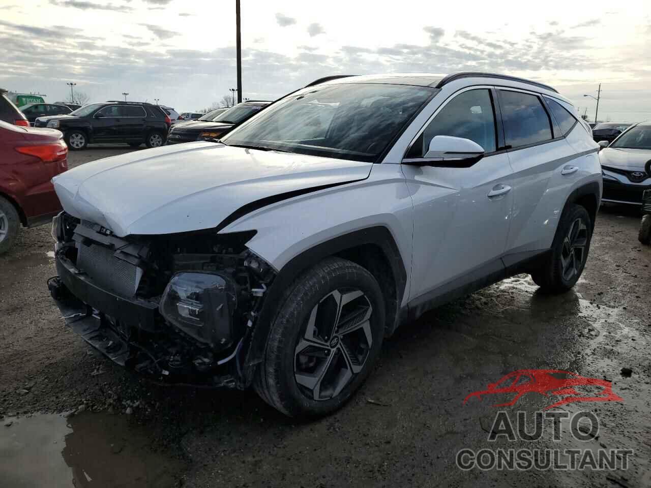 HYUNDAI TUCSON 2024 - 5NMJECDE3RH311660