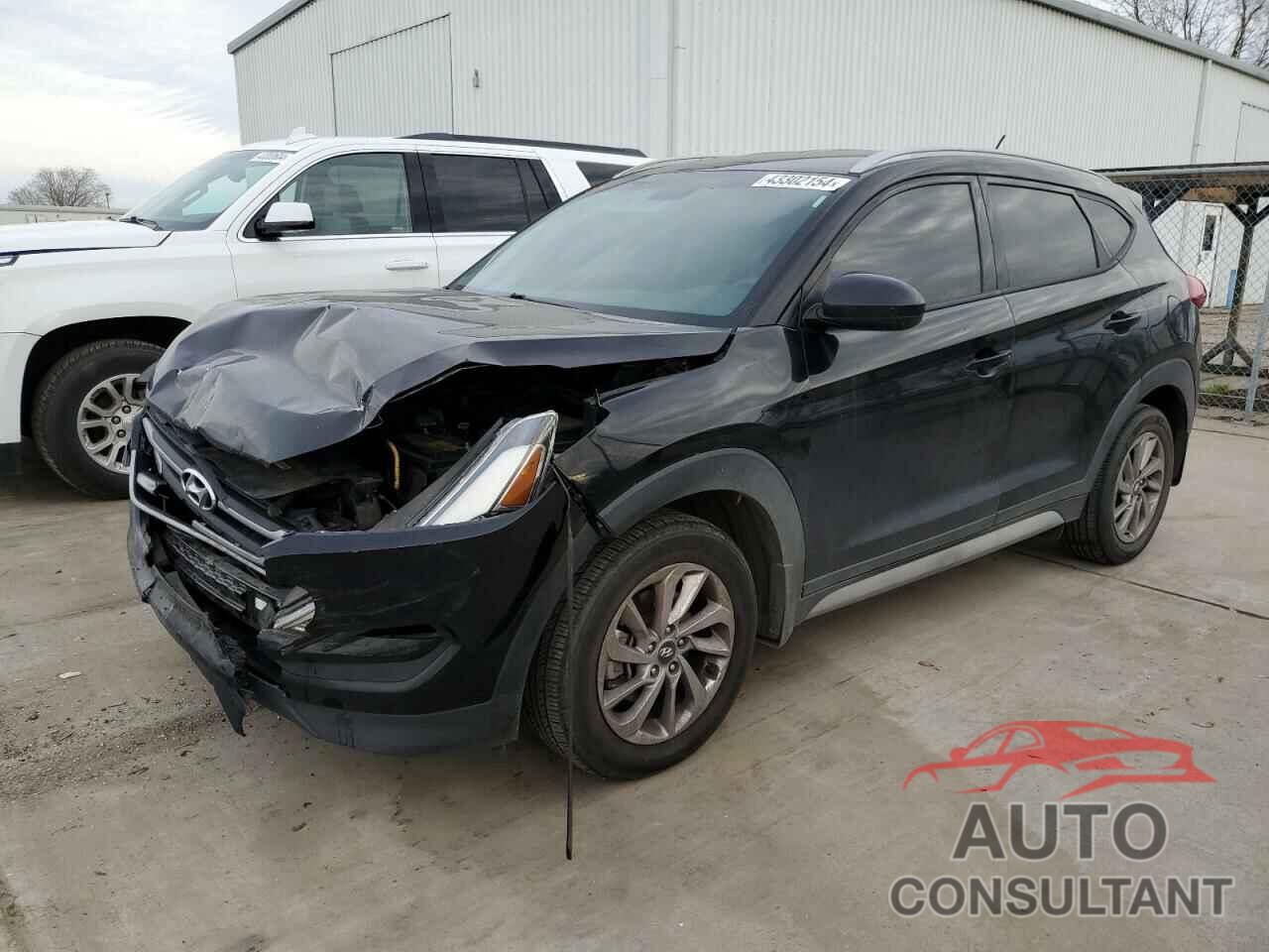 HYUNDAI TUCSON 2017 - KM8J33A42HU400799