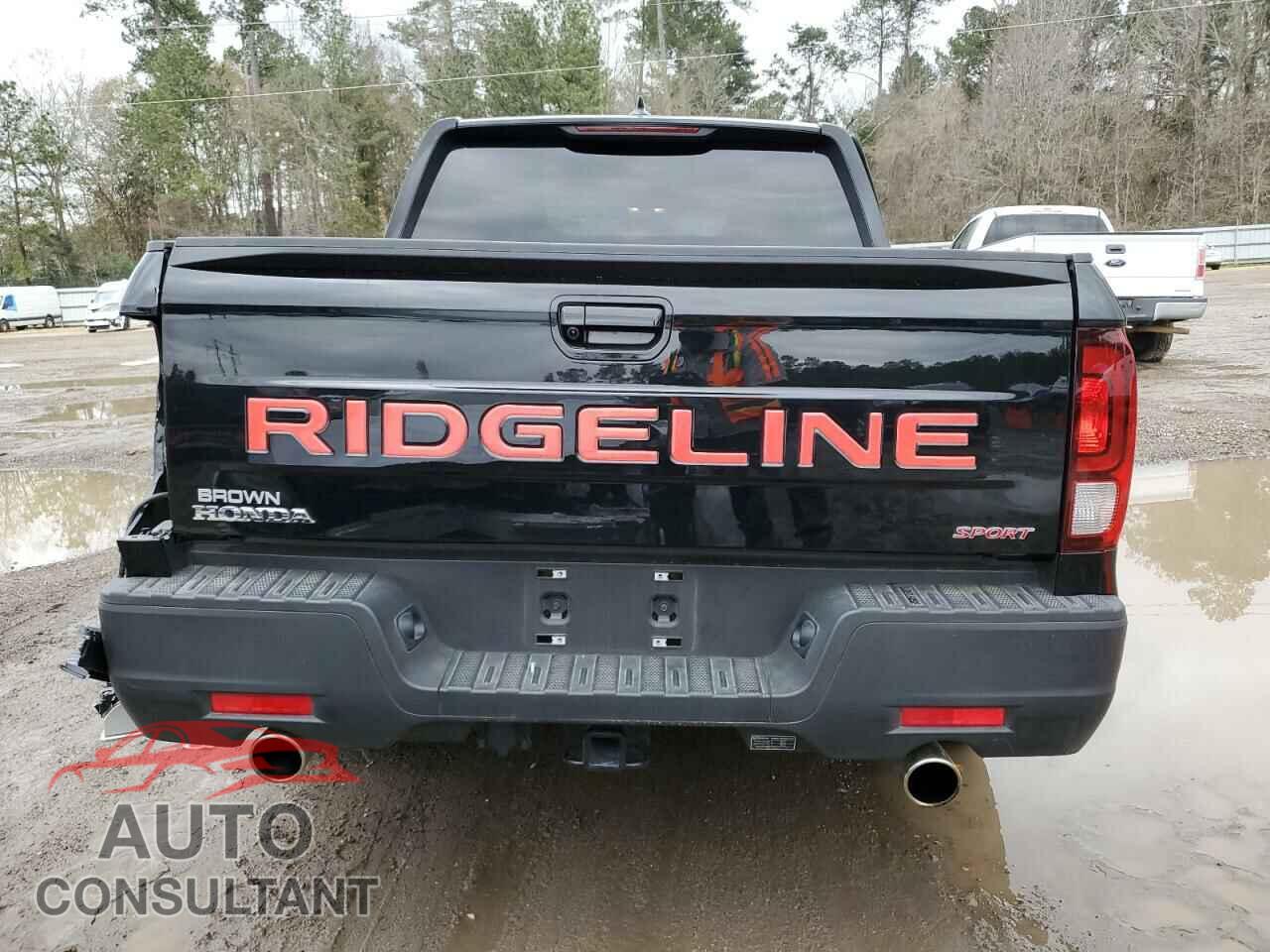HONDA RIDGELINE 2024 - 5FPYK3F12RB008573