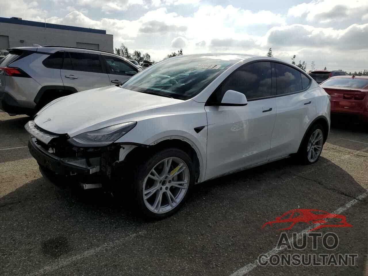TESLA MODEL Y 2021 - 5YJYGDEE1MF219180