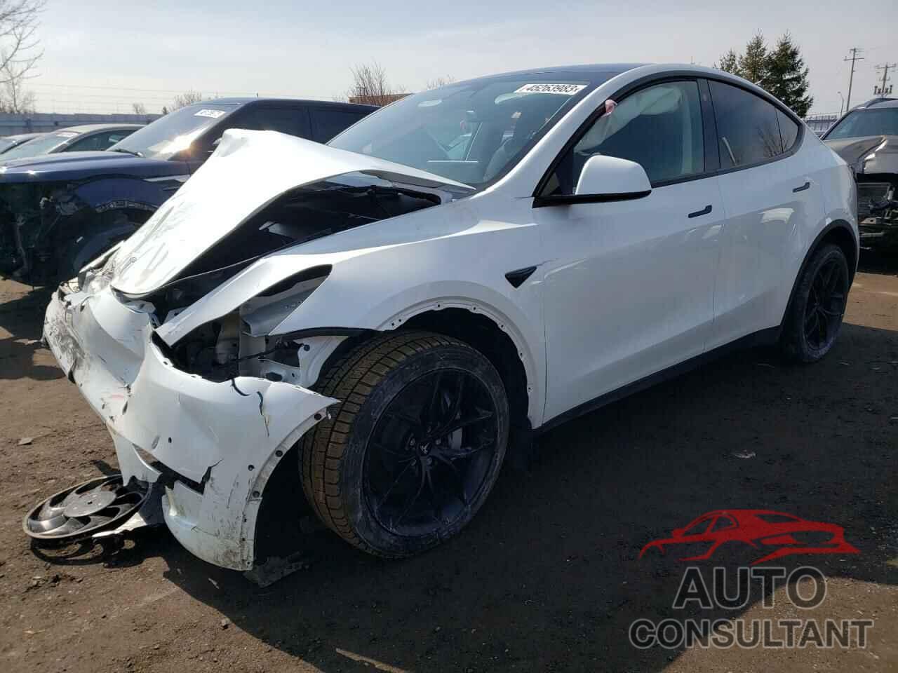 TESLA MODEL Y 2022 - 7SAYGDEE1NF544416