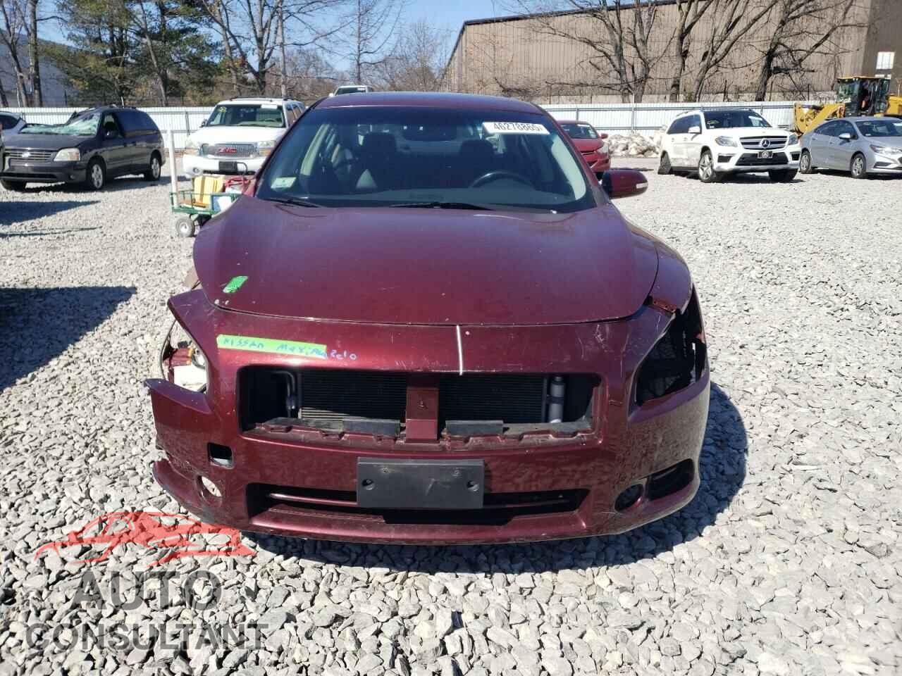 NISSAN MAXIMA 2010 - 1N4AA5AP1AC818871