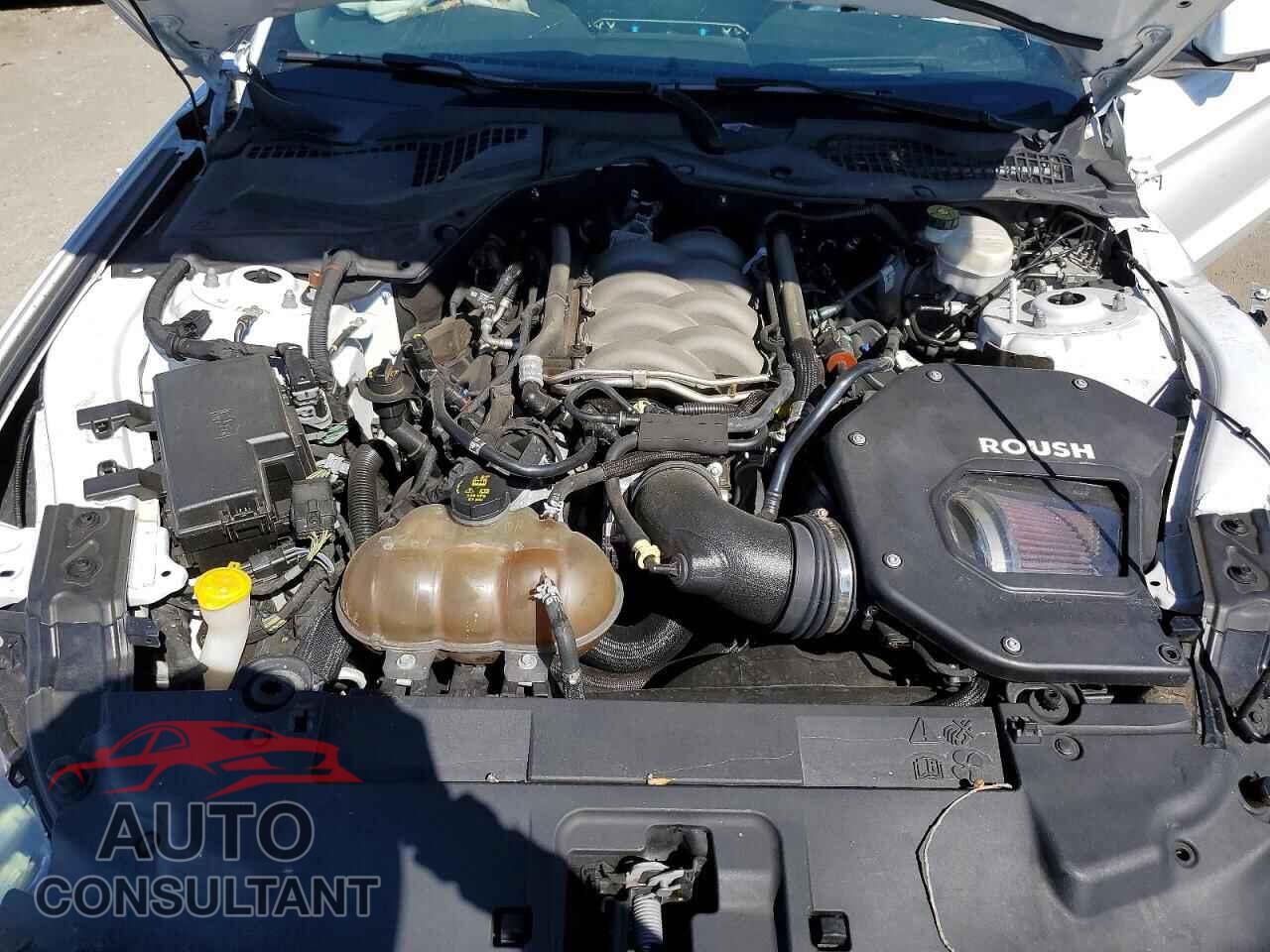 FORD MUSTANG 2019 - 1FA6P8CF4K5192796