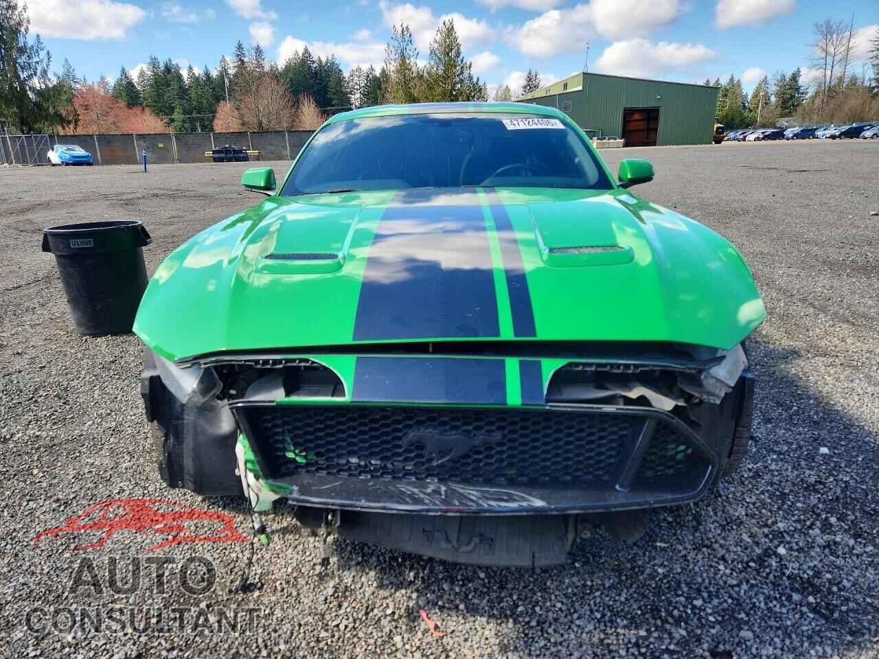 FORD MUSTANG 2019 - 1FA6P8CF6K5169780
