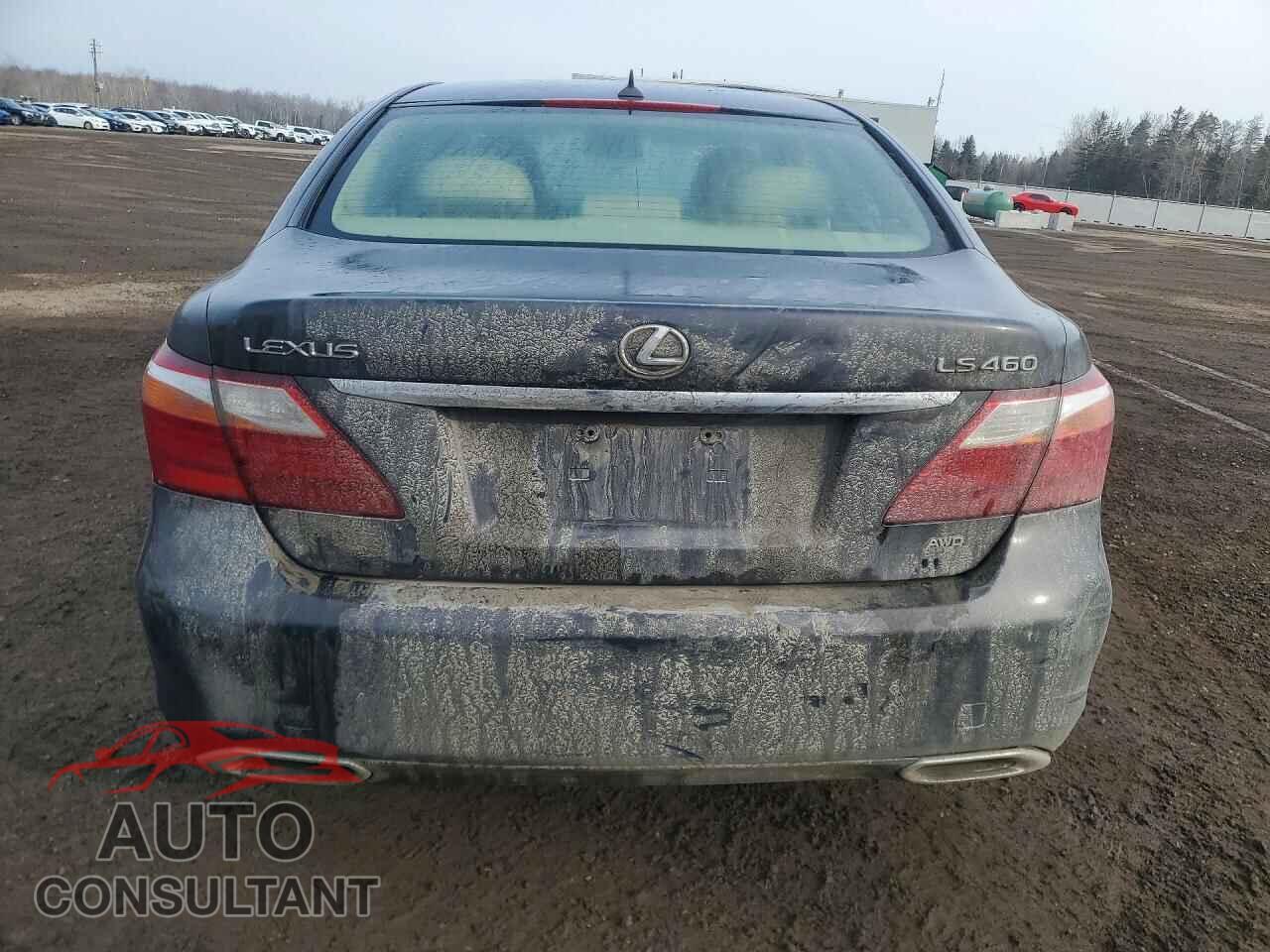LEXUS LS500 2010 - JTHCL5EF0A5005958